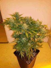 IMG 20140407 092906