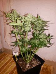 IMG 20140404 101314