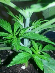IMG 20140220 105014