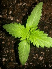 IMG 20140404 115549