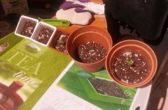 IMG 20140323 130644