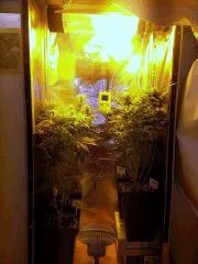 IMG 20140327 101303
