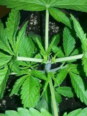 IMG 20140220 104945