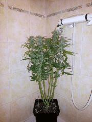 IMG 20140404 101054