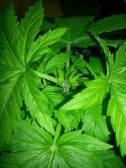 IMG 20140220 105138