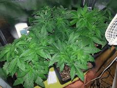 IMG 20140228 081845
