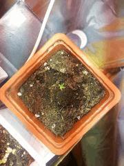 IMG 20140204 134934