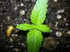 IMG 20140404 115536