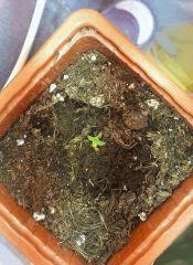 IMG 20140204 134934