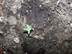 IMG 20140204 135238