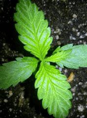 IMG 20140404 115516