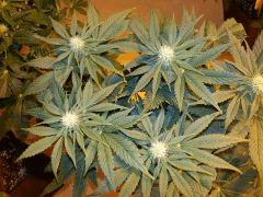 IMG 20140315 080354