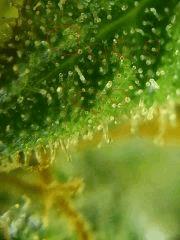 IMG 20140413 082159
