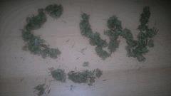 2013 07 01 017[1]