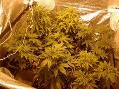 2013 03 27 00.12.51