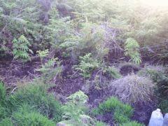 PICT0055