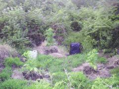 PICT0052