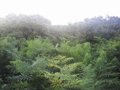 PICT0074