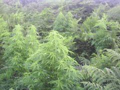 PICT0069