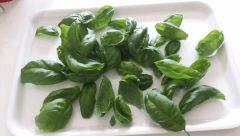 futur pesto :)