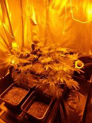 Photo4