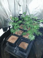 Photo2