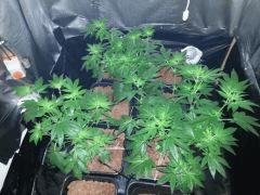 Photo3