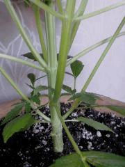 IMG 20130819 120452