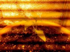 IMG 20130807 191418