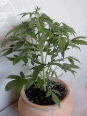 IMG 20130819 120438