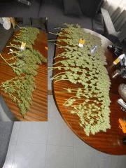1ére et 2ème session en mode monstro