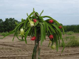 gallery_681036_3328_17668.jpg