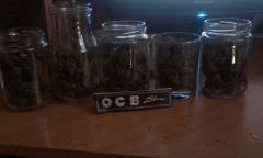 IMAG0307