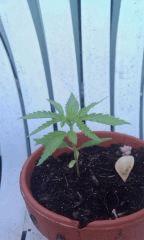 IMAG0144