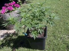 IMG 20130801 00029