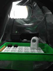 MAR1811 GROWBOX