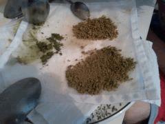 Ice'o Skunk