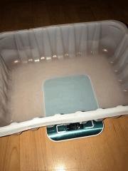 IMG 1166