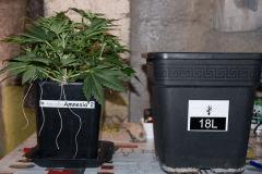 rempotage vers 18L