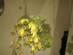 gallery 741085 2095 55526