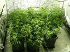 C+40 F+14