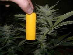 C+40 F+54