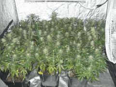 C+40 F+58
