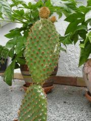 P6040213