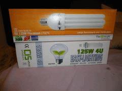 lampe