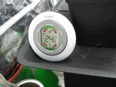 C 11 Conditions (2)