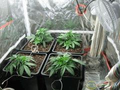 C 30 Famille (4)