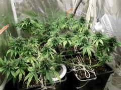 F 64 Famille (10)
