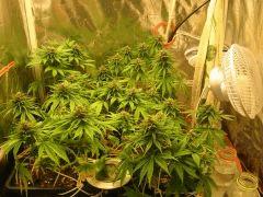 F 53 Famille (1)