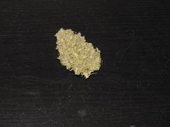C99 Moscaseeds
